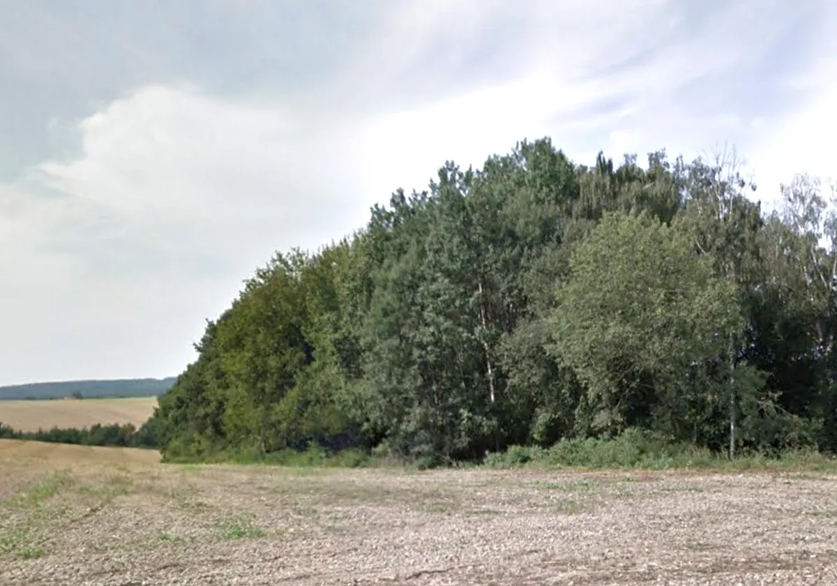 Prodej lesa 4593 m²